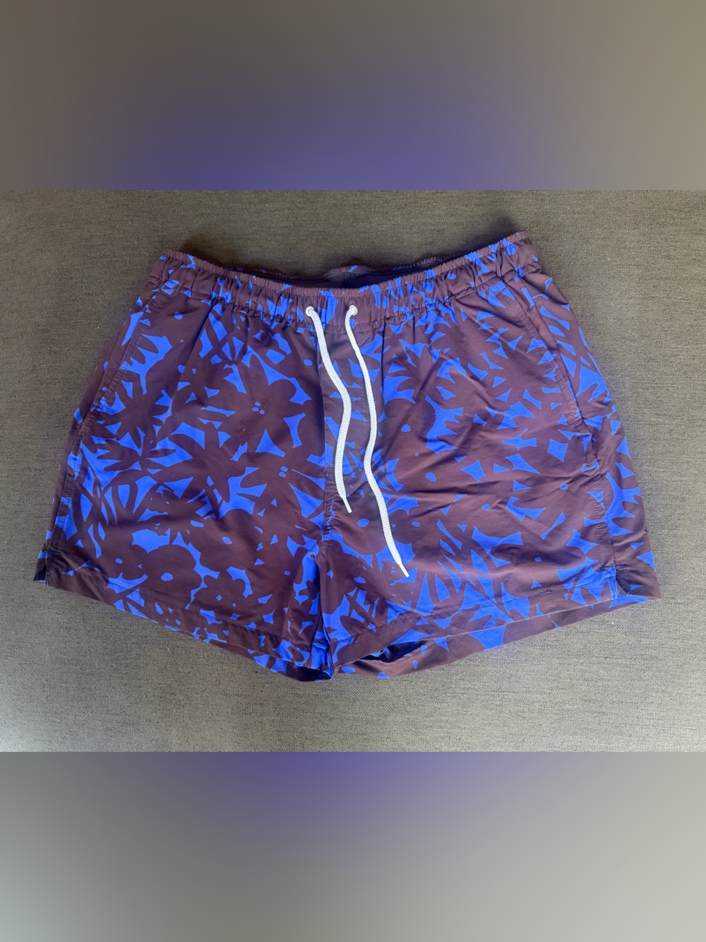 Everlane Purple/brown Swim Trunks with Floral Print